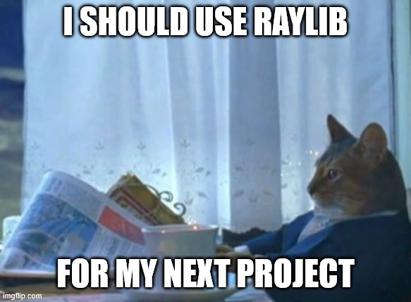 PMiniszewski's tweet photo. @raysan5 @raylibtech https://t.co/Ap0XJYohuv