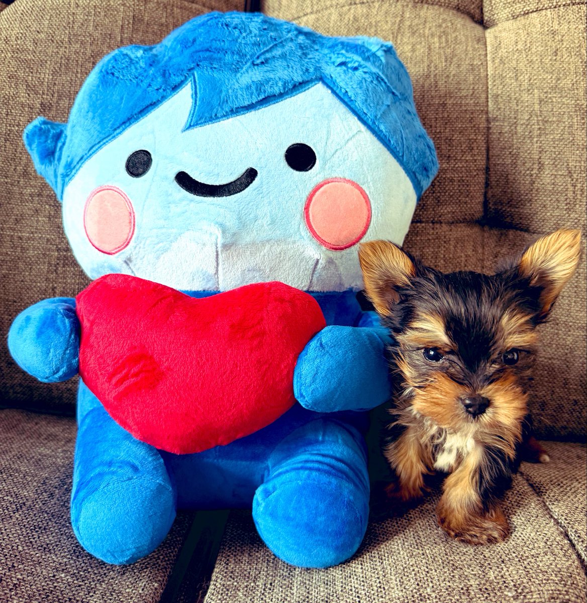 voidradere's tweet photo. Bohdi meets Buddy #dggL https://t.co/X3yEIfCF7W