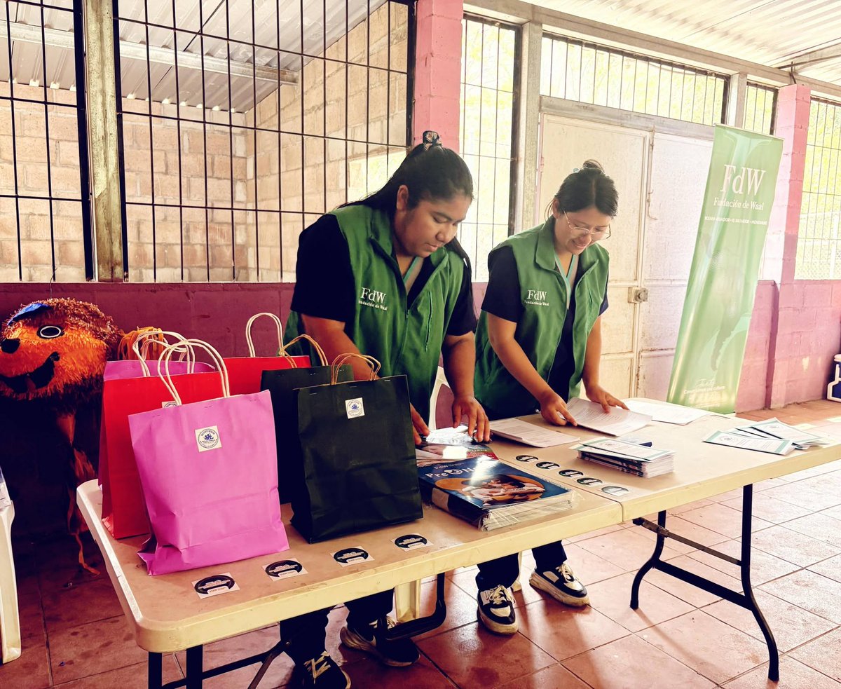 proyeccionfmues's tweet photo. #SomosSaludIntegral
Nuestra Unidad de Proyección Social brinda si total respaldo a la Apertura del proyecto: ´´Talento Oculto´´ apoyado por la fundación de Waal.
"Como mediadoras y licenciadas en educación para la salud llevamos este proyecto a adolescentes del caserío https://t.co/hXRGtHE0eX