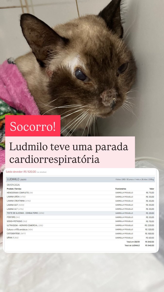 AbrigoMeimei's tweet photo. Sei que os pedidos de ajuda estão constantes, mas nossa situação está desesperadora!!!

Ludmilo teve uma parada cardiorrespiratória hoje pela manhã e o que a gente esperava que seria só uma única internação e ele logo ficaria bem, está em um estado grave.

Foram pedidos todos esses exames do print, que somam R$ 920. Isso sem contar a provável renovação da diária de internação dele, que serão mais R$ 420.

Não temos todo esse dinheiro (nosso apoia se ainda não caiu) e estamos lutando muito para salvar a vida do Ludmilo. Ele merece viver.

Por favor, ajudem com o quanto puderem. Se você já nos ajudou e/ou não consegue ajudar agora, ajuda a gente compartilhando esse post, mandando ele para algum amigo ou familiar. As pessoas doam quando elas sabem que o trabalho é sério e de confiança, e só o testemunho de vocês pode nos ajudar a conquistar quem ainda não nos conhece.

Se apenas 17% das pessoas que nos seguem aqui doassem R$ 1, seriam aproximadamente R$ 1.300. E precisamos desse valor para conseguir dar conta dessa despesa.

Ou seja: não precisa ser muito para você, mas pode fazer uma diferença enorme pro Ludmilo.

Doe R$ 1, ou até menos! Vai nos ajudar a salvar uma vida, por favor!

👉 Chave pix: 11 985816168 em nome de Lorena Tuxen