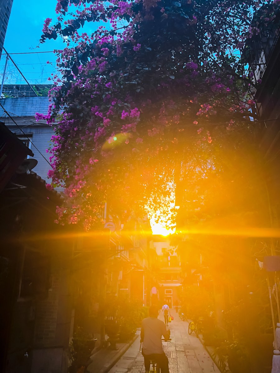 YigitSentzdl's tweet photo. New to photography Start with mastering natural light—shoot golden hour (1hr after sunrise/before sunset) for soft, warm tones, no fancy gear needed. https://t.co/aAKjeJ5nTo
