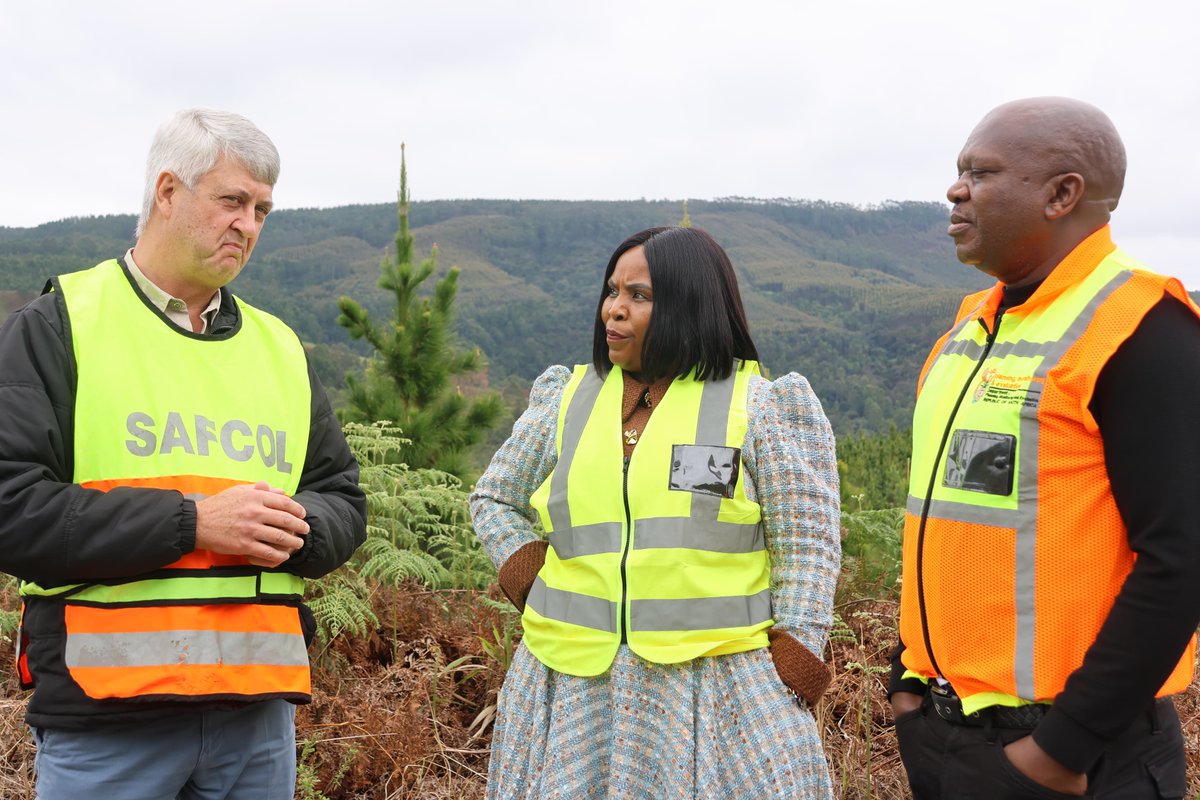 MpuDardlea tweet picture