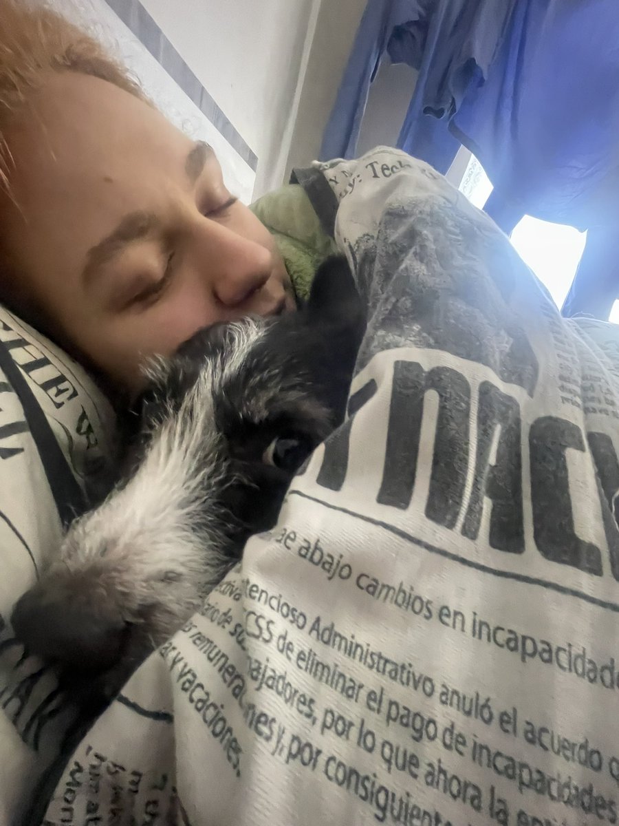 Mariisedu's tweet photo. A mimir https://t.co/gvevqo1TEE