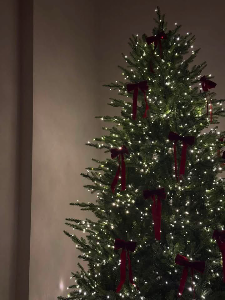 layxsnv's tweet photo. i want my christmas to look EXACTLY like this🎄🥹 https://t.co/kbxNh1KWOG
