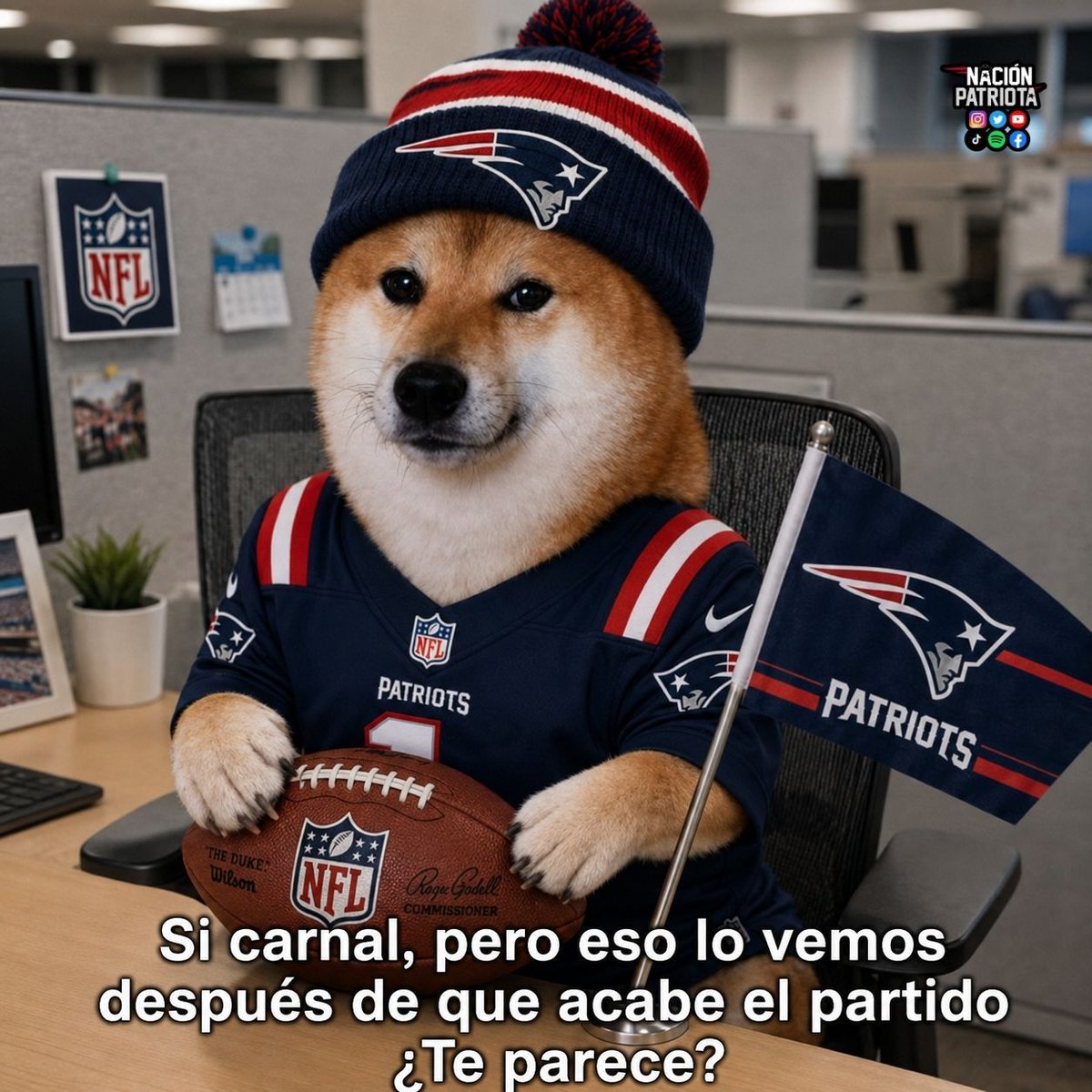 nacionpatriots's tweet photo. Yo mañana en el jale: https://t.co/jaEJKpwcja