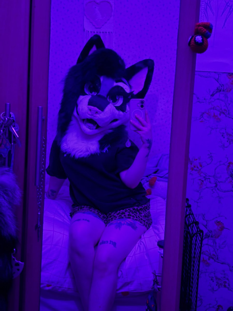 mangobiscuit_'s tweet photo. His wolf is going to bed after a late night swim
wearing my fave leopard print shorts and my PAWS tee >:3
i cannot get over beautiful Lux is, i cannot thank @foxiefursuits  enough for bringing her to life I’m absolutely in awe at the quality and dedication 💜

#furry #fursuit https://t.co/oXSdkzBV5n