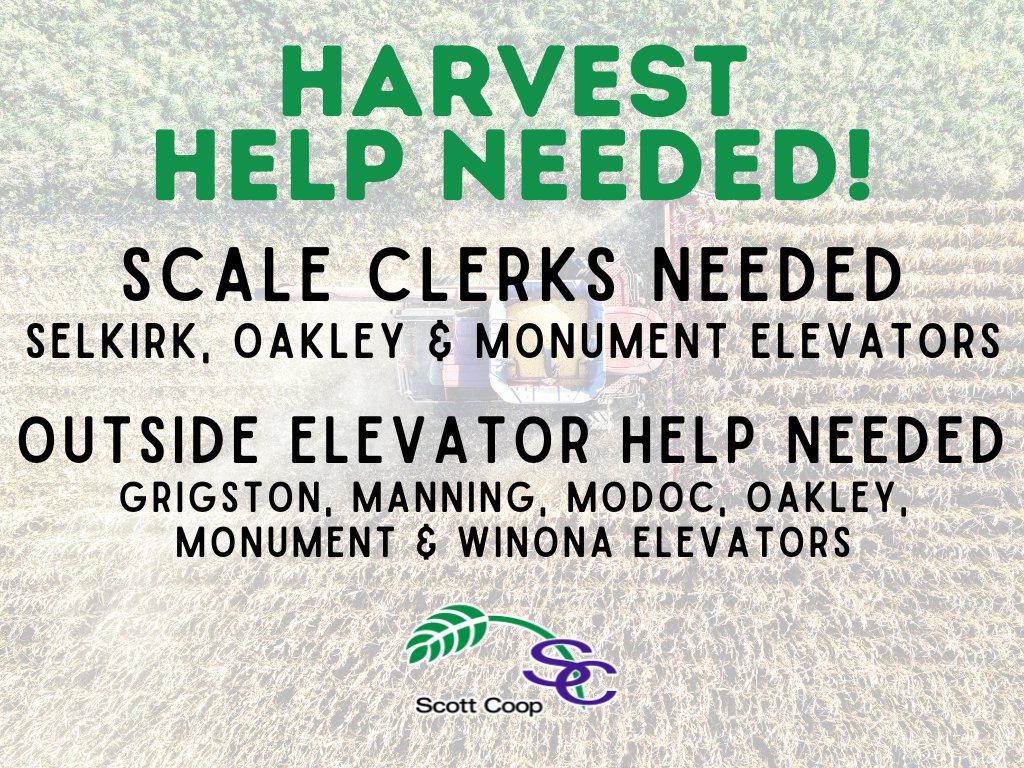 scottcoopassn's tweet photo. We are still looking for harvest help for a few locations. Please contact us if you or someone you know is interested in seasonal work #ScottCoop https://t.co/QdpHtSPQ38