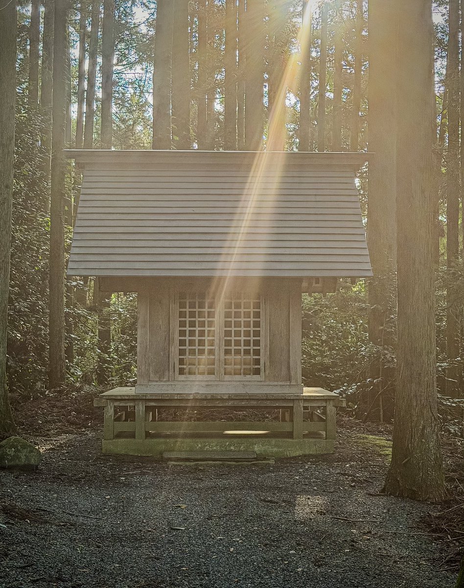nikunick2929's tweet photo. 日高見神社の境内社✨

森の中に佇む小さなお社へ
やさしく光が降り注いでいました

この光をそっと
お福分けいたします✨

皆様に良いことが
山ほど起こりますように🙏

#お福分け #日高見神社 https://t.co/79PdrQV9b2