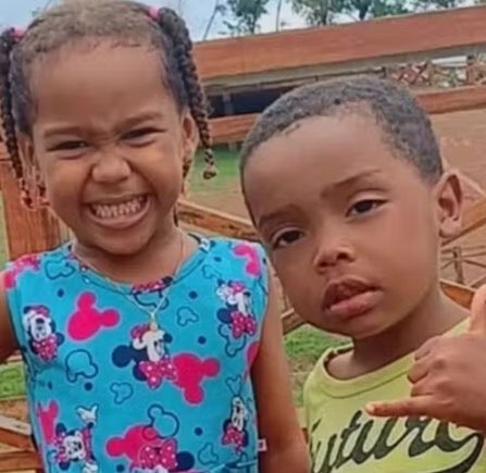 CrimesReais's tweet photo. 🚨 AGORA: Interpol aciona mãe das crianças desaparecidas Allan e Ágatha durante operação contra o tráfico humano. Mais de 163 crianças desaparecidas foram encontradas. https://t.co/weh8ZABTwb