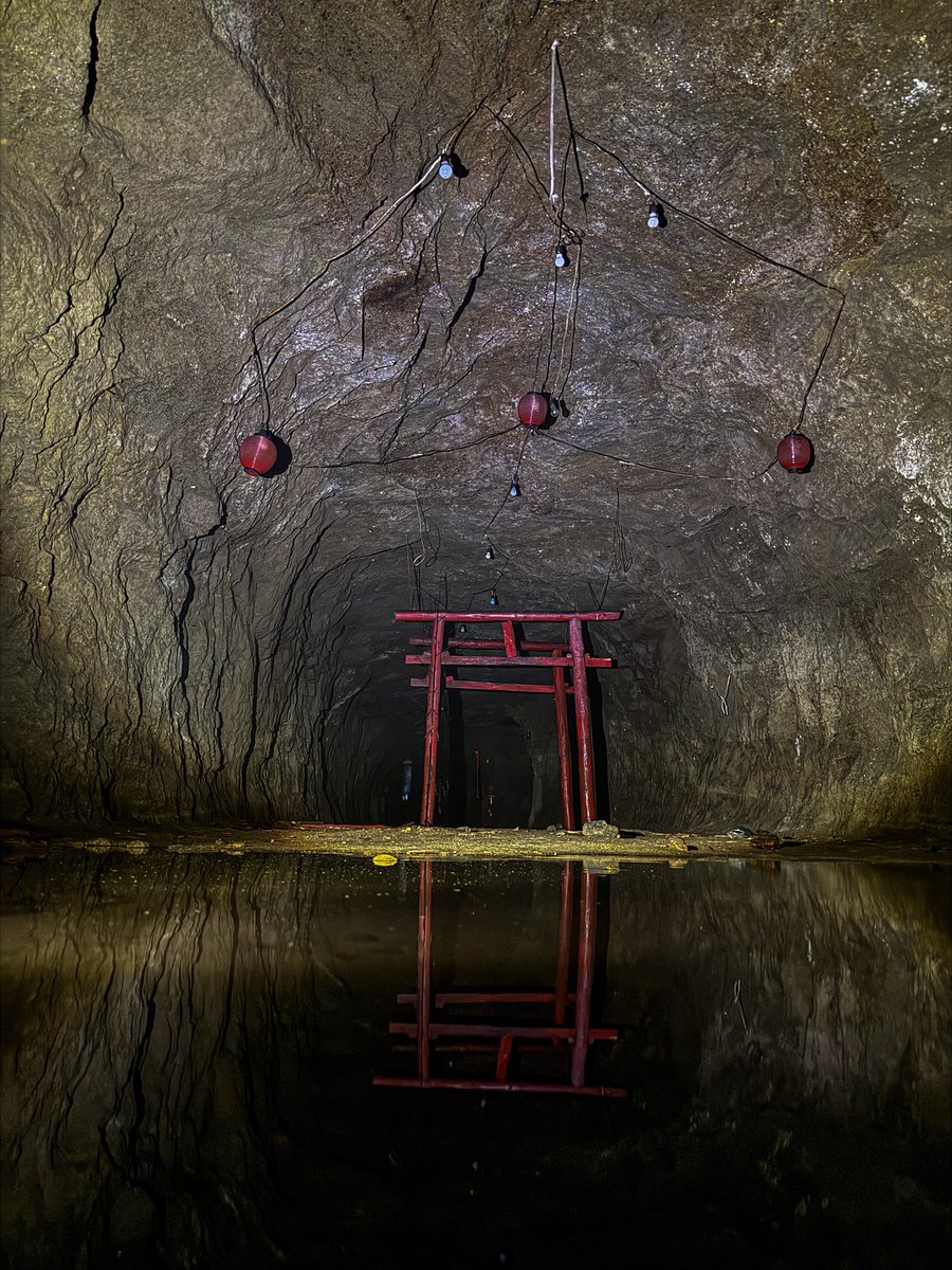 urbex_N's tweet photo. 水没した洞窟内に突如現れる鳥居⛩️ #廃墟 https://t.co/boblw8NRZK