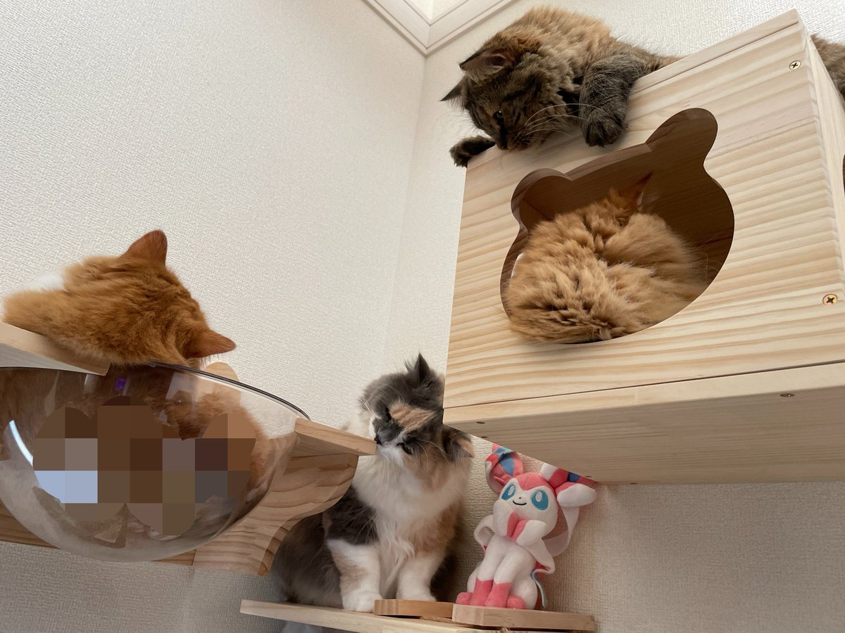 u_w76's tweet photo. おはにゃん https://t.co/0o3gs7XXeE