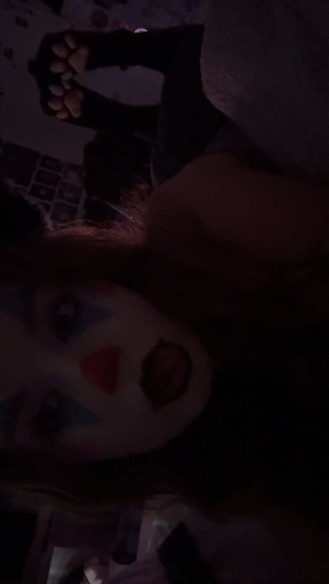 prettykitlily's tweet photo. clown cat https://t.co/grvlwJKdel