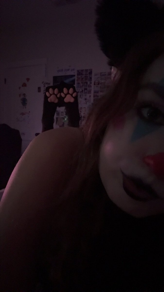 prettykitlily's tweet photo. clown cat https://t.co/grvlwJKdel