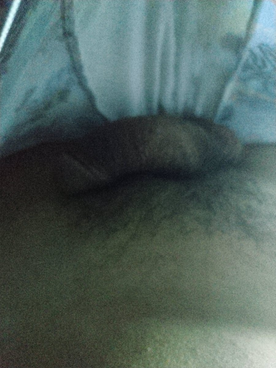 BallKpp1979's tweet photo. 💦💦 https://t.co/ekChjJdGtM