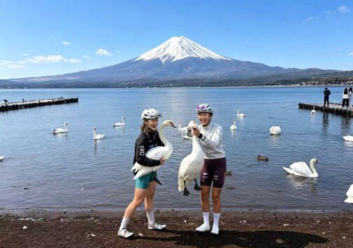 Izumi_Sunagawa's tweet photo. 山梨県山中湖で中国人ブロガー2人が白鳥を捕まえ、首を掴んで持ち上げる。

鳥獣保護法に��る規制日本の野生鳥獣は「鳥獣の保護及び管理並びに狩猟の適正化に関する法律（鳥獣保護法）」で守られており、許可なく野生の鳥類を捕獲・監禁することは違法。
違反した場合、罰則が科される。

どうして中国人というのはこうまで野蛮なのか。