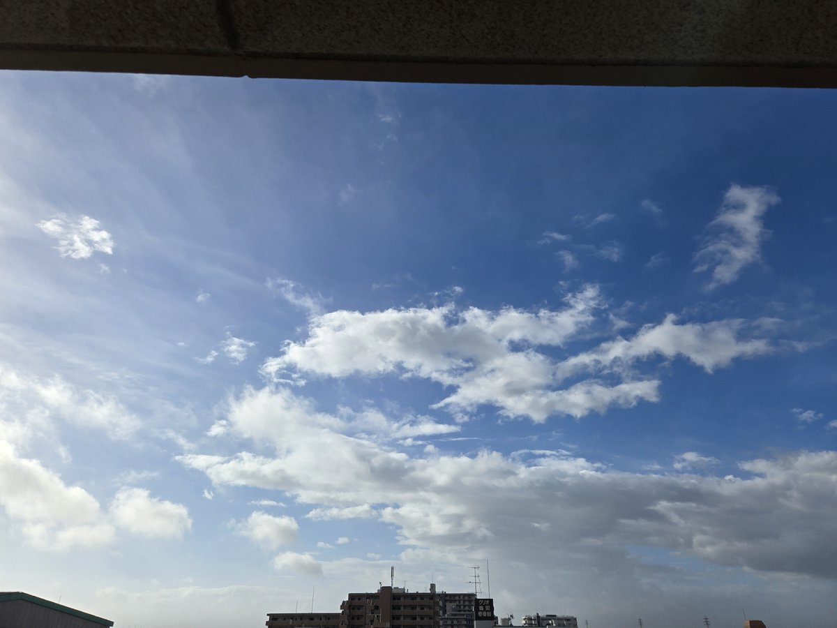 ticotico_tack's tweet photo. 今日は思ったより天気いい？ https://t.co/zxmqvNWYnH