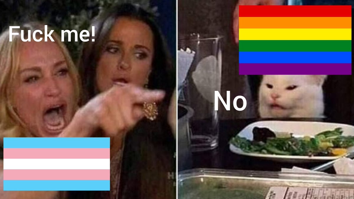 Pietropreacher's tweet photo. Então eu sou transfóbico com orgulho. Vocês precisam entender que chamar de "transfóbico" quem não se atrai por trans não vai fazer ninguém magicamente se atrair e sim fazer as pessoas assumirem o rótulo de "Transfóbico" sem culpa e foi assim que vocês perderam todos os aliados. https://t.co/yEpTEG2eKB