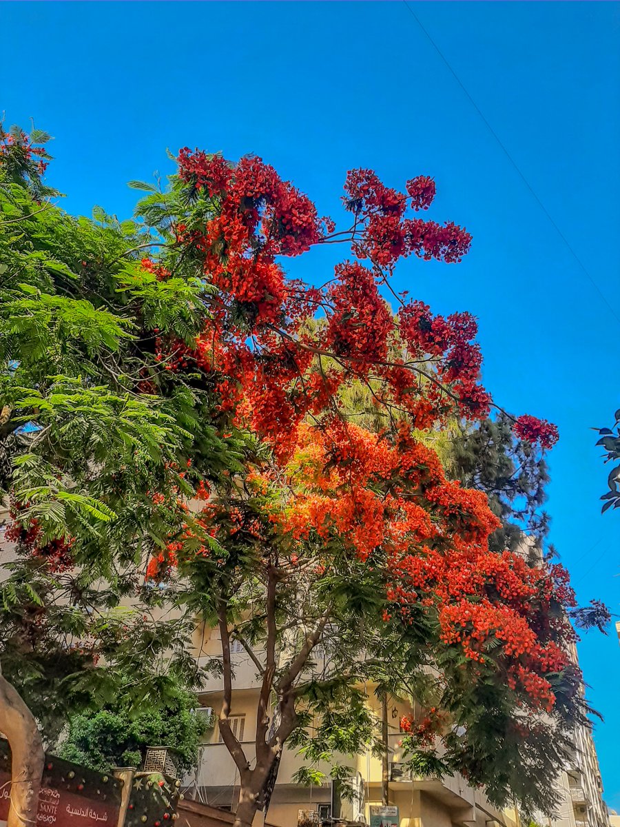 Markmohsen10's tweet photo. https://t.co/4vwZRrqiCB
