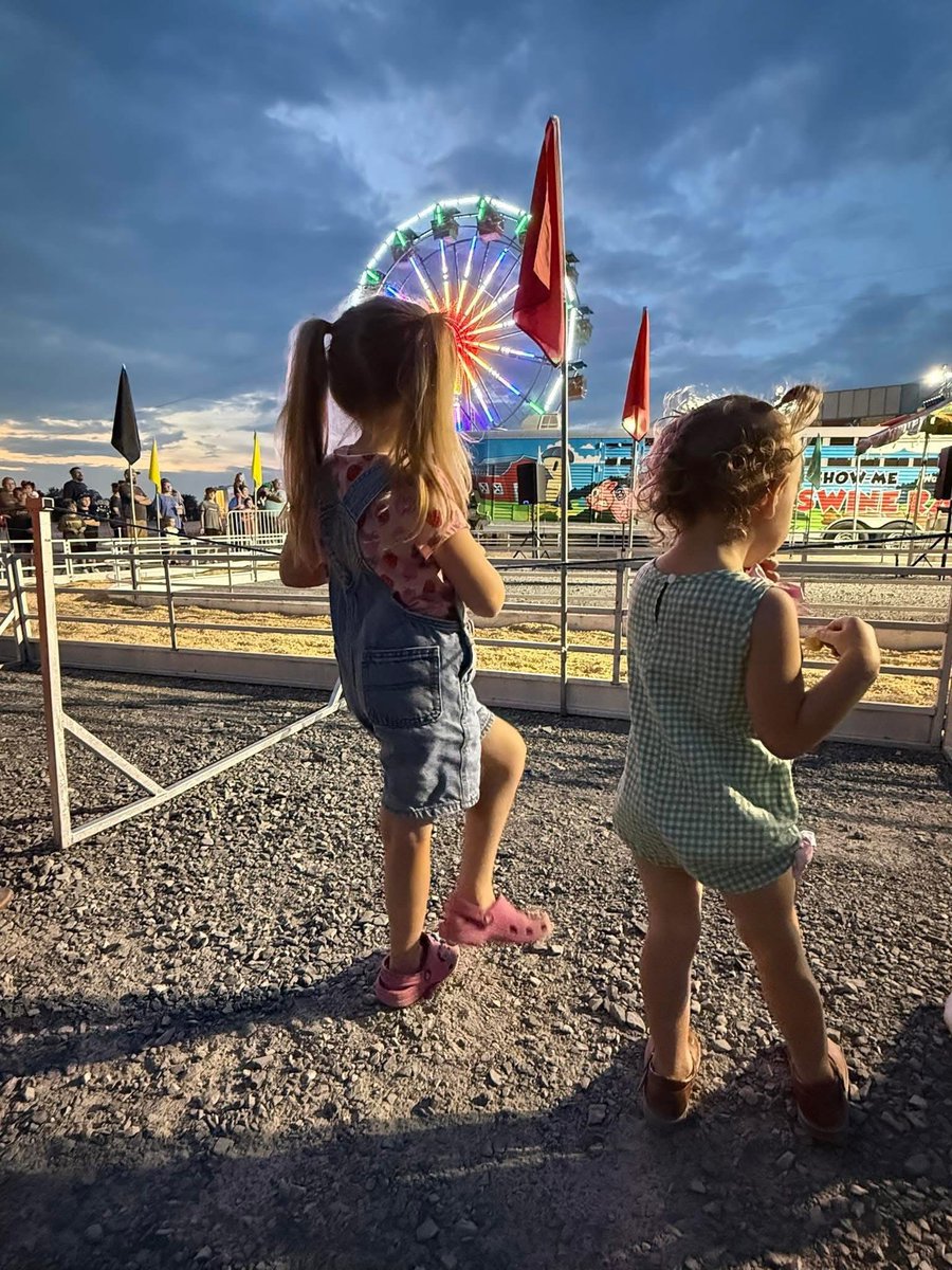 visitnorthal's tweet photo. 🎡 The Blount County Fair is back Sept. 15-19! Enjoy carnival rides, midway games, fair food, livestock shows, a horse show &amp; the Show Me Swine Racers! 🐷

🎟️ $5 admission | Ages 5 &amp; under FREE
Grab the family &amp; join the fun!

#VisitNorthAL https://t.co/hVnJBv9dtK