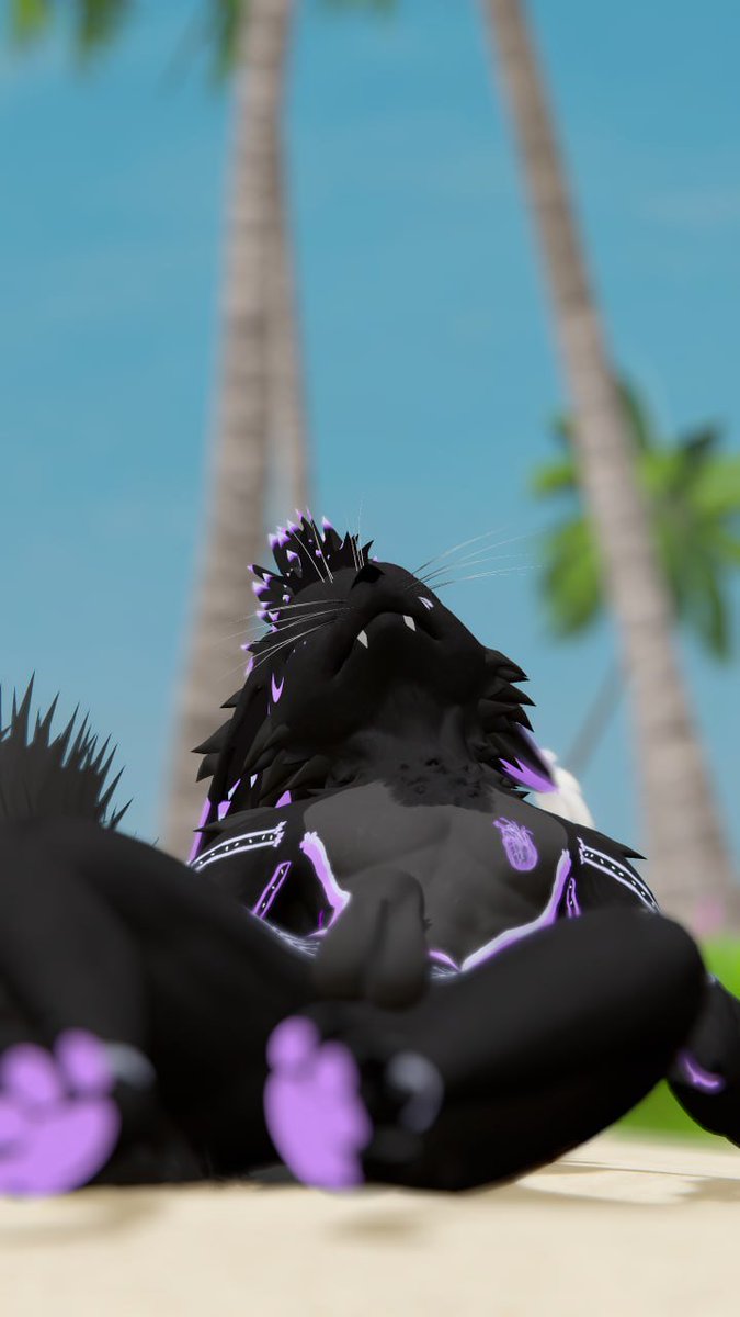 KWolfAD's tweet photo. Someone for cuddle at the beach :3 
🐕
UwU 

#rexouium #furry #adcontent #furry #gay https://t.co/swksv5aK7R