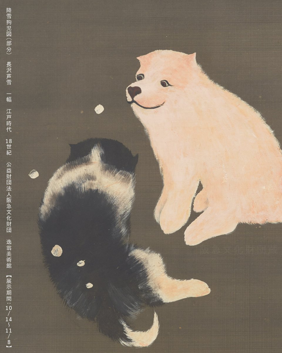 sun_SMA's tweet photo. ＼降雪狗児図／
本作の展示期間は10/14(水)～11/8(日)【後期展示】
まるで微笑んでいるような白い子犬。芦雪は師・円山応挙が流行させた画題を引継ぎつつ、愛らしい表現を生み出しました。
※9/15まで休館中
※ #逸翁展 は9/16開幕 
https://t.co/Am828gnR4v https://t.co/igYZmUuoCv