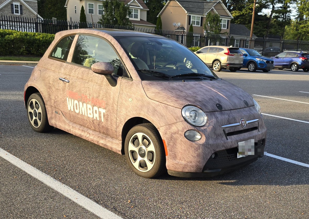 toeman89's tweet photo. Found in the wild today. Is this @TRMatsonAuthor new ride? The side says "hand-to-hand wombat" and the 500 badge has also been replaced with "wombat".
@CWLemoine https://t.co/7LFQgvwDa7