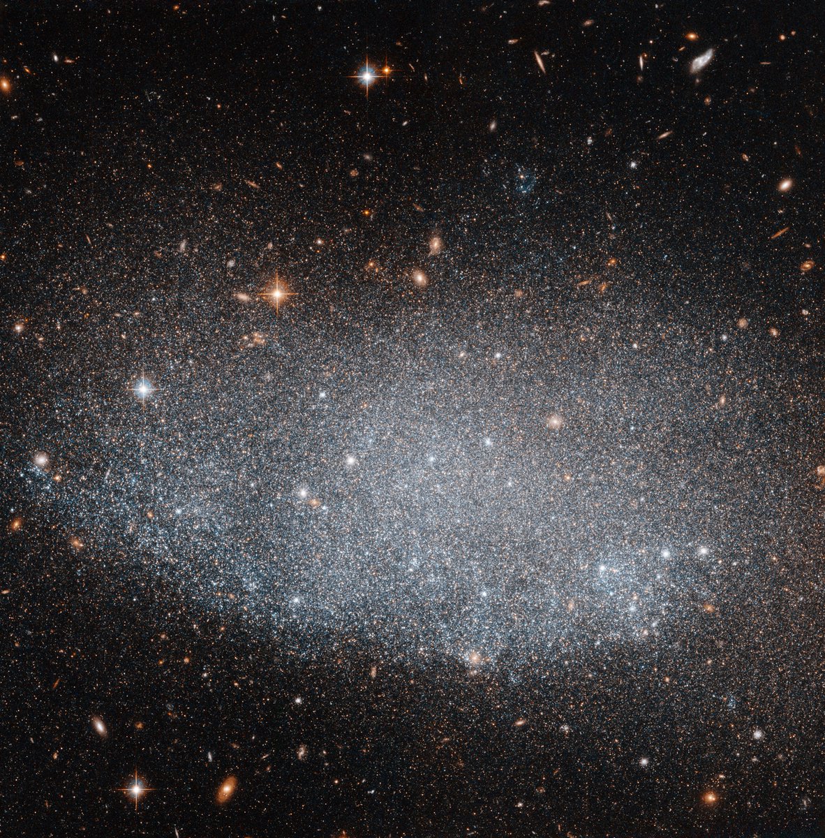WorldAndScience's tweet photo. Astounding: UGC 8201, a dwarf irregular galaxy 15 million light-years away, has concluded a star-forming era spanning hundreds of millions of years, illuminating how compact galaxies maintain activity even with limited reserves.

(Credit: ESA/Hubble &amp; NASA) https://t.co/y936F0gjg4