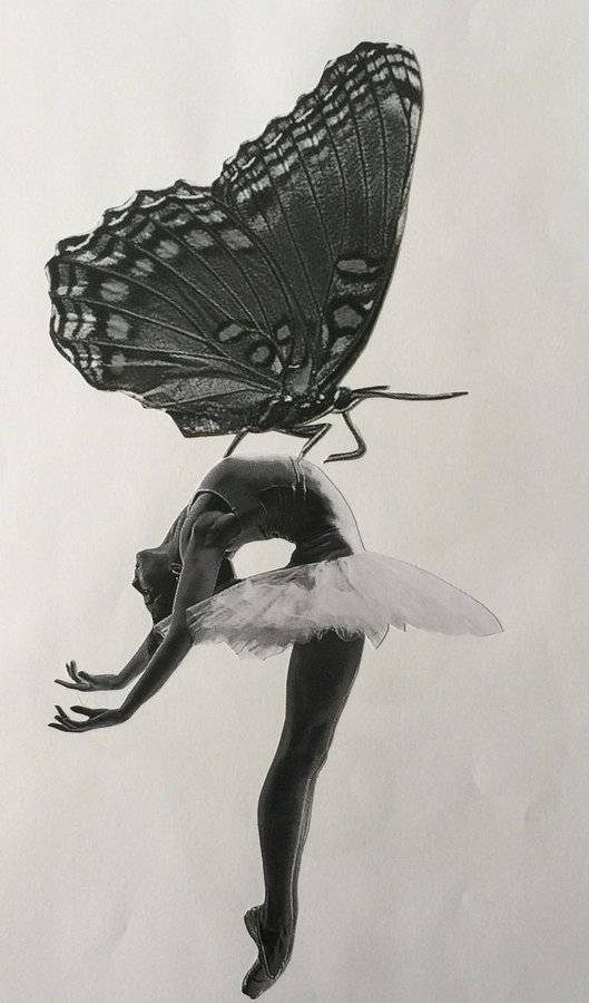 escribonia's tweet photo. Todo, 
lo que le ocurre al hombre 
le ocurre al árbol,
a los mares, 
a la mariposa,
a la flor, 
a los ríos.
Nos rige
lo mismo.

Escribonia✨ https://t.co/72QQs1Dd9S