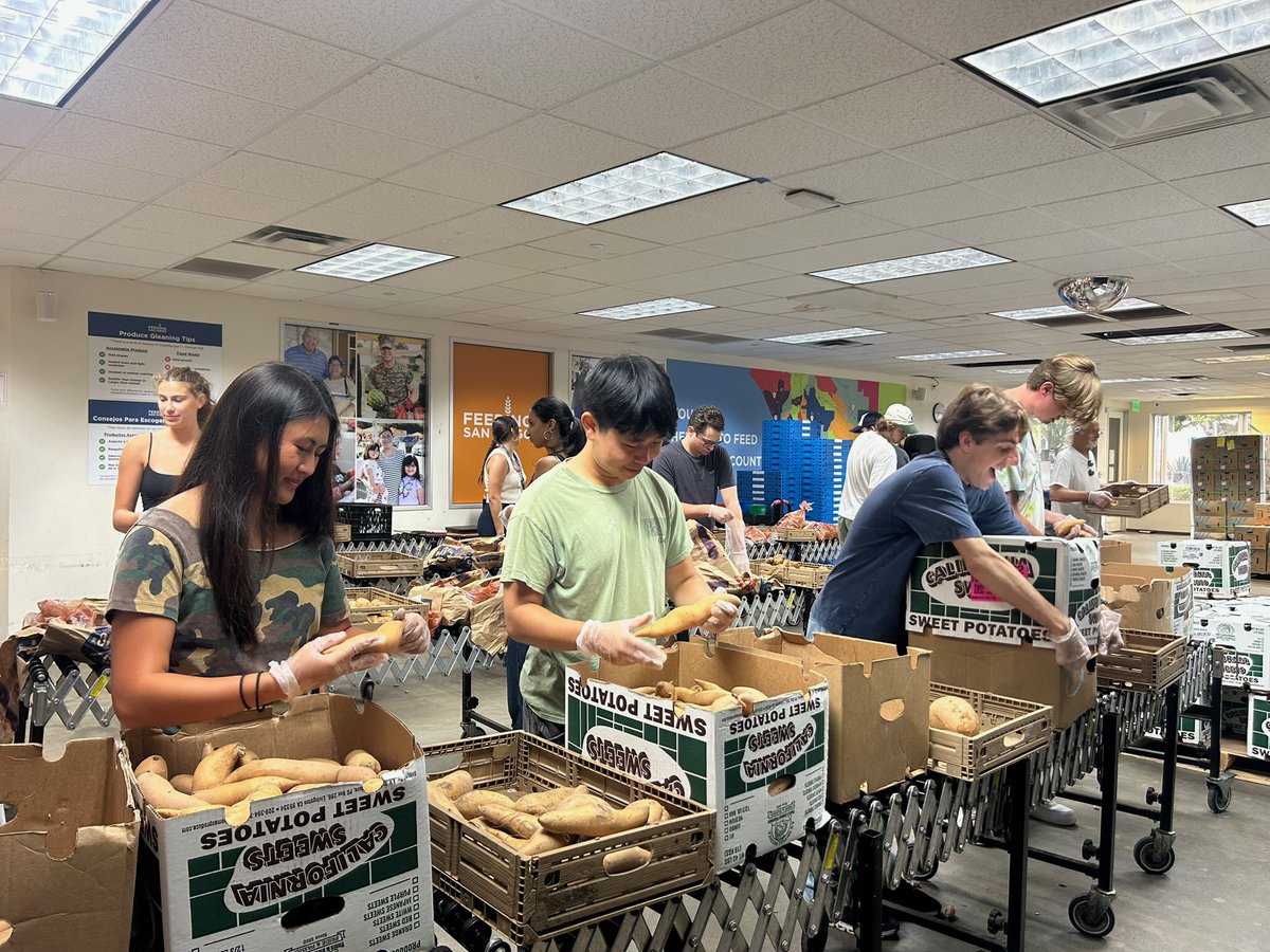 ScottPetersCA50's tweet photo. Alongside community volunteers, #TeamPeters gleaned and packed 1330 pounds of potatoes, 925 pounds of Anaheim peppers, and 1056 pounds of sweet potatoes that will serve San Diegans experiencing hunger. We’re grateful for the work @FeedingSanDiego does to strengthen our community. https://t.co/dFxwITK1TQ