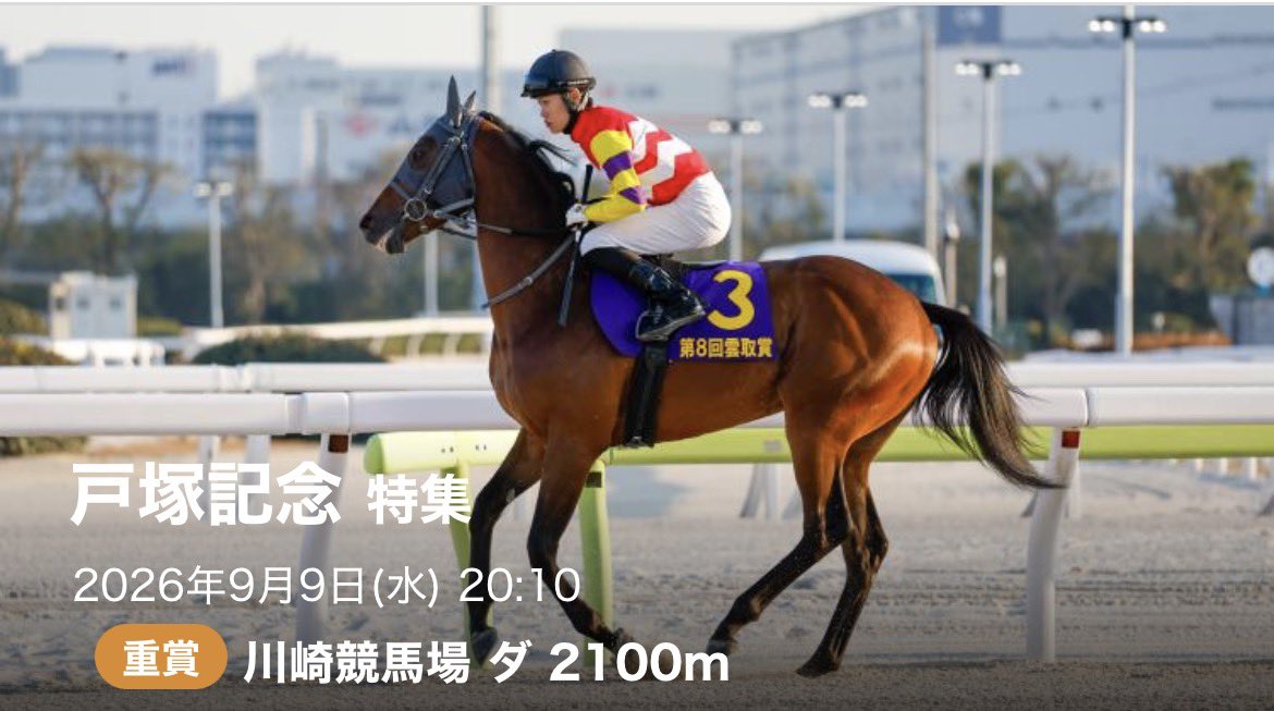 keiba_pace's tweet photo. 今日の戸塚記念🏆

せっかくだから鬼絞り、無料で出そうか。

人気順に並べるだけの予想はしない。
消す馬は消して、最後は買い目まで絞る。

見たい人多ければ公開🔥
"いつもの2点"で呼んで。 https://t.co/vjCx7Vdtpd