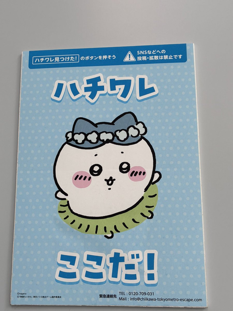 uwfcaptured's tweet photo. 前の勤務先があった場所にハチワレいました https://t.co/E0QOTKDPNE