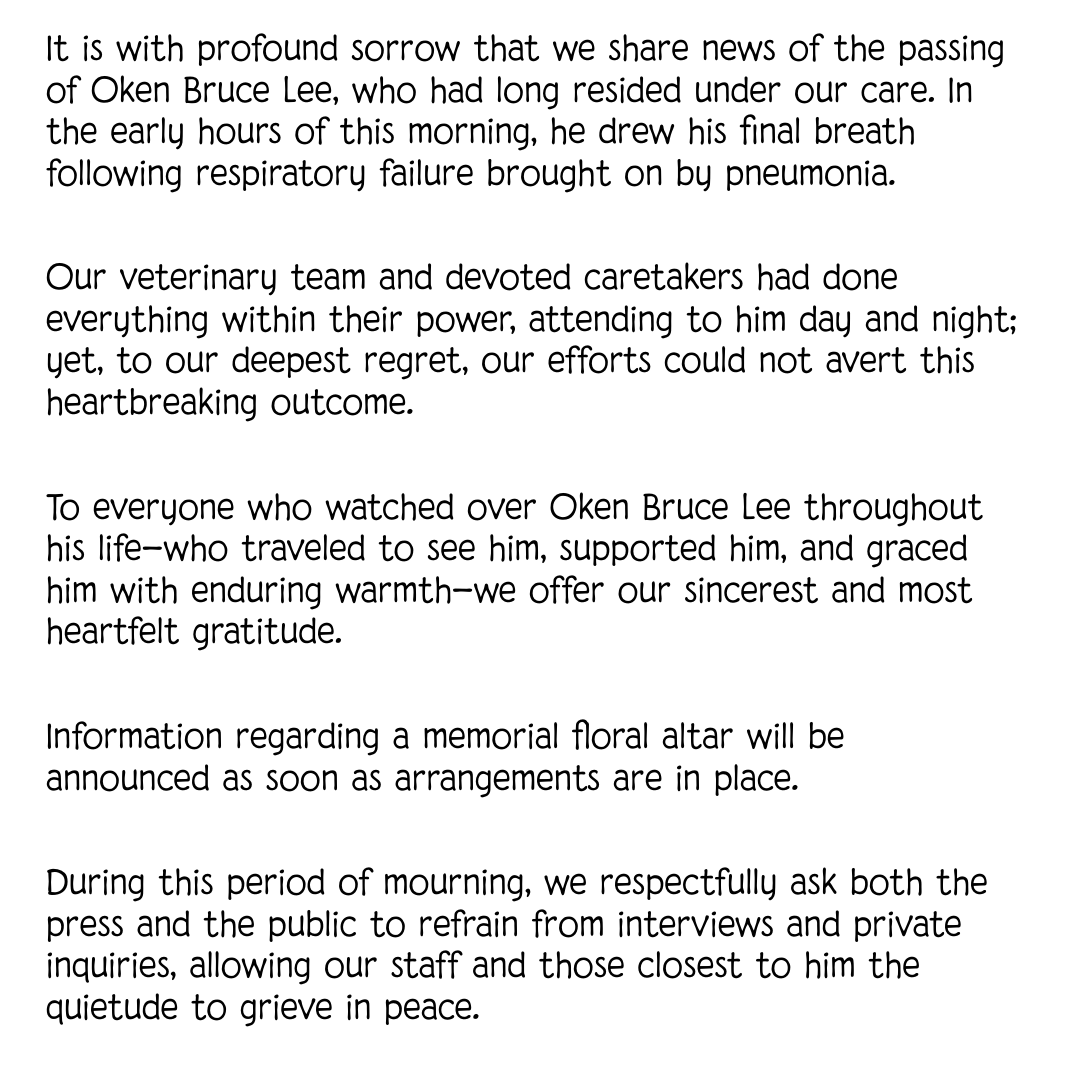EspokunCity's tweet photo. Oken Bruce Lee, the winner of the 2008 Kikuka-Sho and the 2009 Kyoto Daishoten, has passed away. We thank all the staff members who cared for him.

Here is the translated words from AERU: https://t.co/8WZdv9dnde