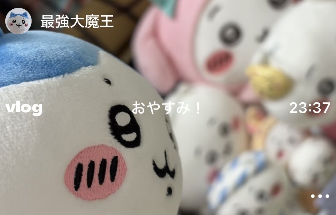 chii_aska's tweet photo. セットログゆるーく更新してるのでやってる方いたらぜひ繋がってください🎶(ぬい多めですが日常も入ります) https://t.co/RdotKVmQvd
