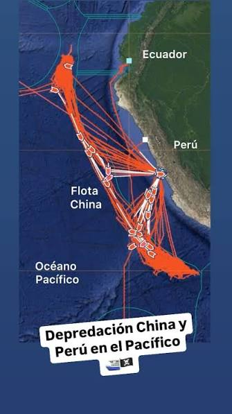 gonzalonunez98's tweet photo. @ChinaEmbPeru Y si dejan de depredar el Pacífico???? https://t.co/z9U1qh7nEd