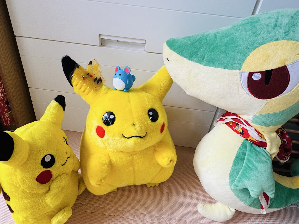pk468584's tweet photo. ジェラピケ、買うかギリギリまで迷ってるうちに遅くなったけど、ピカチュウのクリップだけ買って帰ってきた🥰
マリルのクリップも欲しくなっちゃってお会計並びながら通販で予約しちゃった〜 https://t.co/QpgkKlDe5g