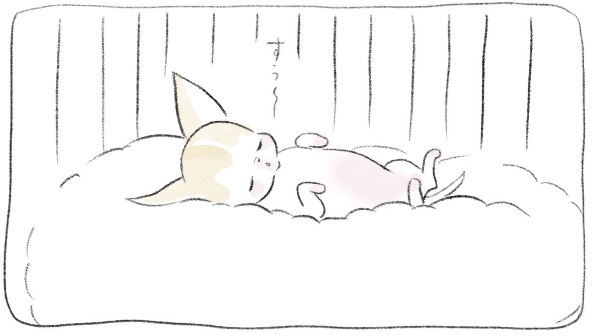 hello_kiraco's tweet photo. ハロー！きらこちゃん                     
no.94 
#漫画が読めるハッシュタグ #チワワ #チワワ好きさんと繋がりたい https://t.co/EnwTSQ4A8G