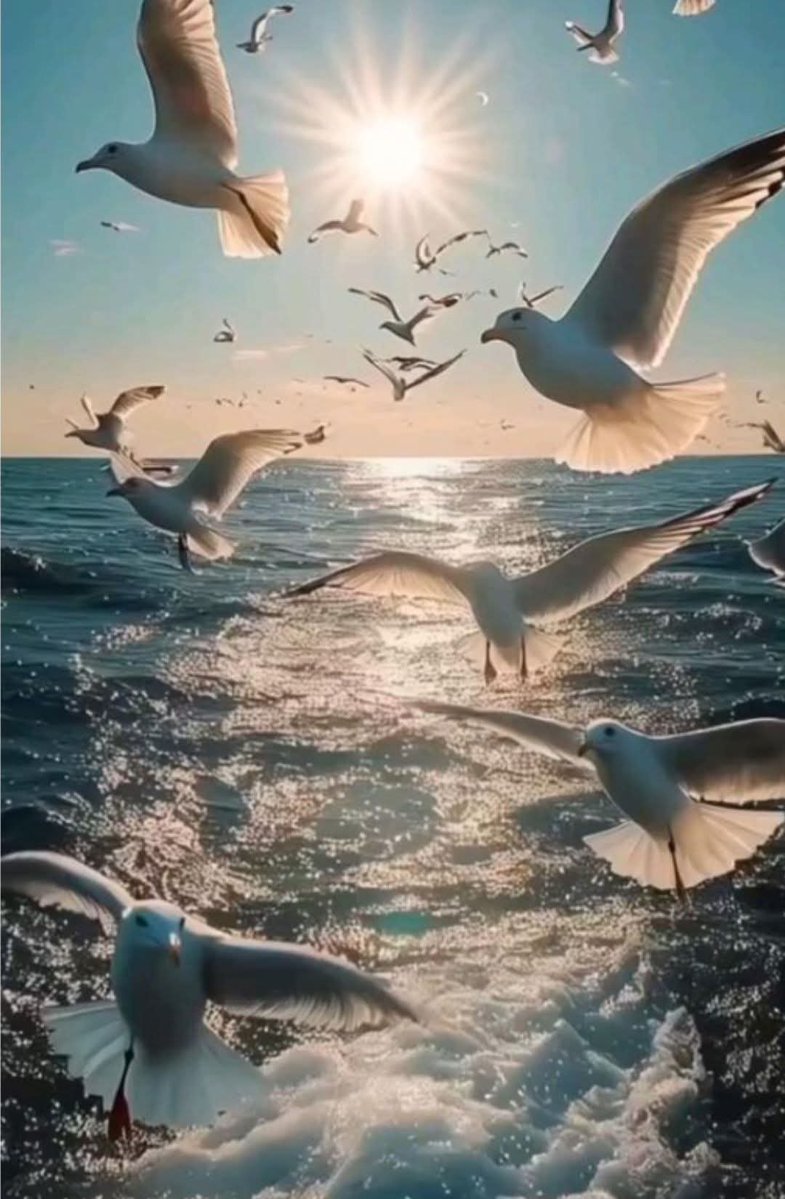 Enverw0d8's tweet photo. Günaydın musmutlu güzel bir gün olsun ☕️☕️☕️
Fırtınanın şiddeti ne olursa olsun, martı sevdiği denizden asla vazgeçmez. https://t.co/Q89YimPZak