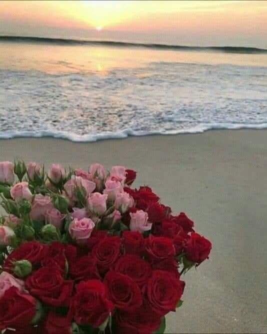 Enverw0d8's tweet photo. "Sevmek yürek ister" değil, "Her yürek sevmek ister," sadece sevdiğine sonuna kadar sahip çıkabilmek, cesaret ister... 
 
Sunay Akın

Günaydın. Mutlu günler dilerim 🌺 https://t.co/fX1SnLvOlU