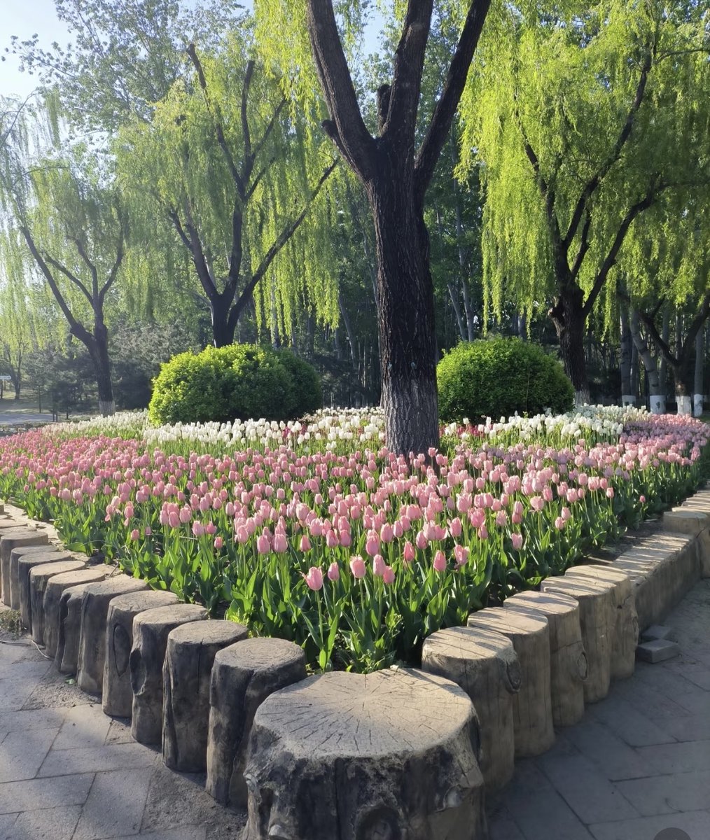berri864152's tweet photo. Prioritize 7-8hrs of sleep daily + 15mins of morning walk—small consistent steps for long-term health! https://t.co/8xJdqgeSO1