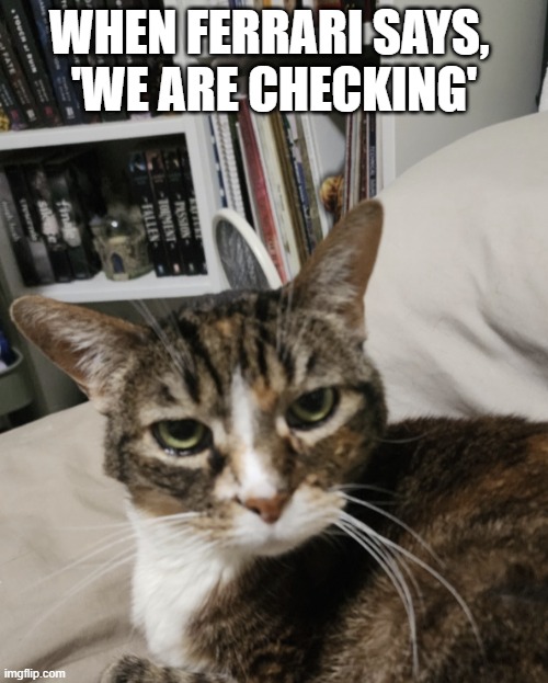 KayMarie2222's tweet photo. Ferrari: “We are checking.”
Me: So you have no idea what’s happening either?

#Purrari #CatsOfTwitter https://t.co/Zyl2Bgrqvt