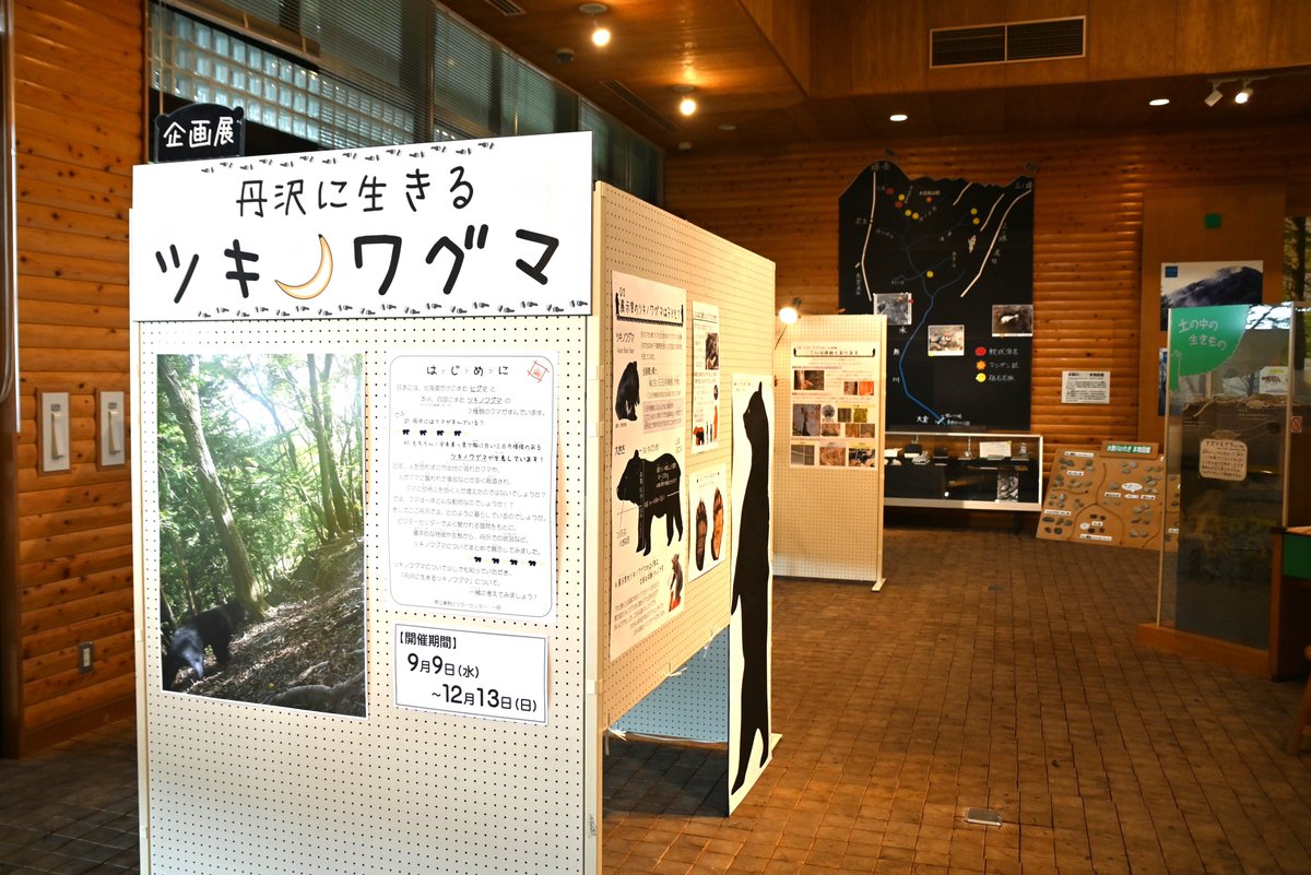 HadanoVC's tweet photo. 8時40分の気温25.8度 曇時々雨 
【行事】企画展『丹沢に生きる ＃ツキノワグマ 』が本日からはじまりました。
ツキノワグマの生態や特徴などについて紹介しています。
開催期間：9月9日(水曜日)～12月13日(日曜日)
開館時間：9時～16時30分
入館無料
皆さまのお越しをお待ちしております♪ https://t.co/eDtUPLsBZr