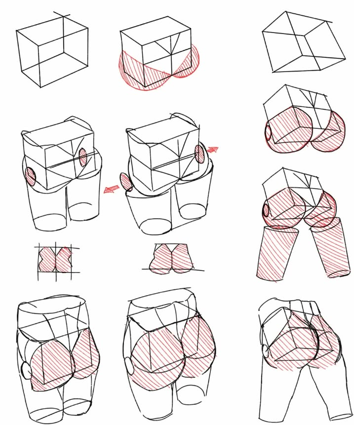 popycornio's tweet photo. Want to draw a realistic butt from scratch?
Breaking down its shape and structure step by step makes the anatomy much easier to understand. https://t.co/21iN4lppT0