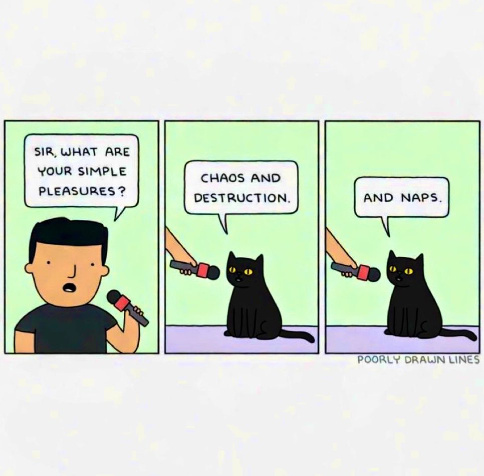 GeneralCattis's tweet photo. A feline's knowledge of the best things in life
#ItsPureAndSimple https://t.co/IkPJarKq2i