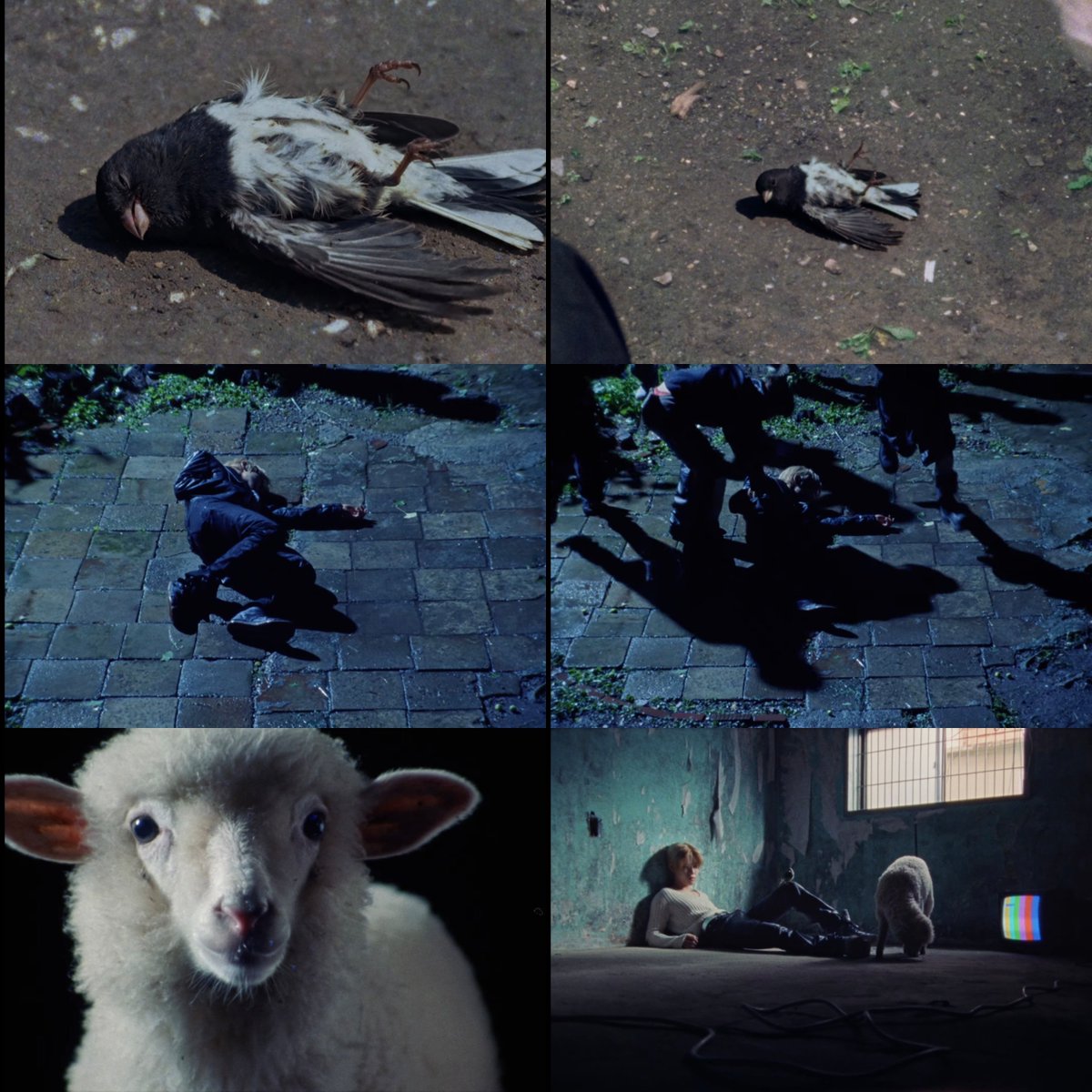 jjemnyangie's tweet photo. the explanation of cye "doubt your doubts" trailer from an article

"the video captures the members' journey of confronting themselves at the end of their wandering. it depicts their journey of getting back on their feet after going through moments of being trapped, lost, and broken, incorporating flipped and distorted visuals, as well as rough, shaky movements.

in particular, symbolic images, including a dead bird, appear throughout the video. the image of the dead bird leads into that of a lamb, expressing a process of moving through loss and welcoming a new beginning.

the central theme running throughout the trailer is "return". the story of picking themselves back up and returning to themselves after a period of wandering also connects with close your eyes' musical direction."

🔗 https://t.co/bej5hh0wuh