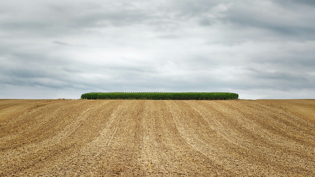 artlimitednet's tweet photo. Fieldscape 8 by Bernd Walz https://t.co/uGTVsnshFK
#contemplation #digital #fineart #photography #photographyeveryday #photographyislife #countryside #emptiness #color #landscape #fieldscape #colors_of_day #minimalistic #documentary #skyscape #minimalism #colour #field #fields… https://t.co/QcssFBtl9b