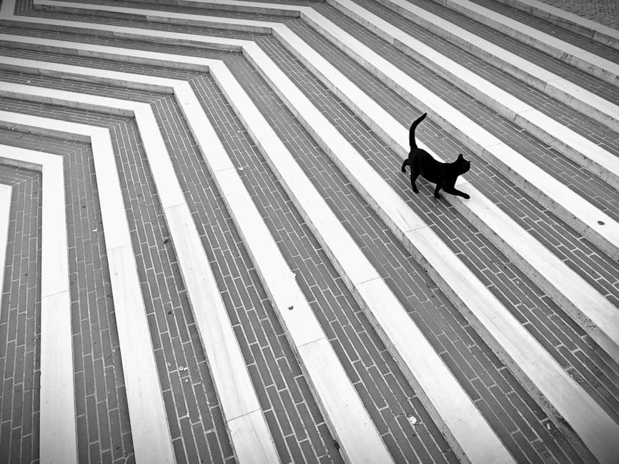 TenishaMihuf's tweet photo. حينها فقط ندرك الصدق الأيام أن يملأ عندما يملأ الشوق القلوب. trish myslinski https://t.co/CWBqqrAmgR