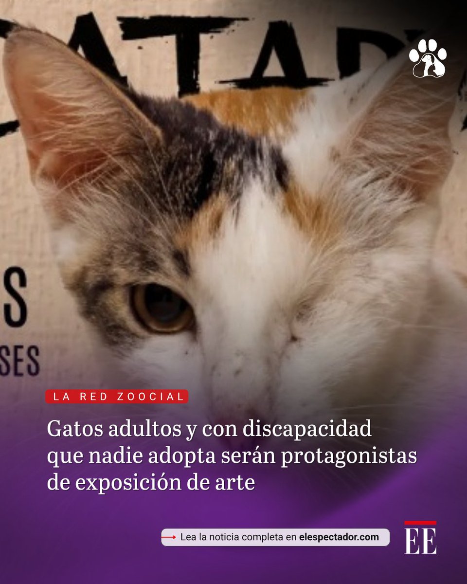 elespectador's tweet photo. La exposición CAT·ART·SIS podrá visitarse gratuitamente del 15 al 17 de septiembre en la Galería de la Plaza de la Paz, en Barranquilla. 
👉🏻 https://t.co/SLlTQVcjGm https://t.co/QQLShvbQ7i
