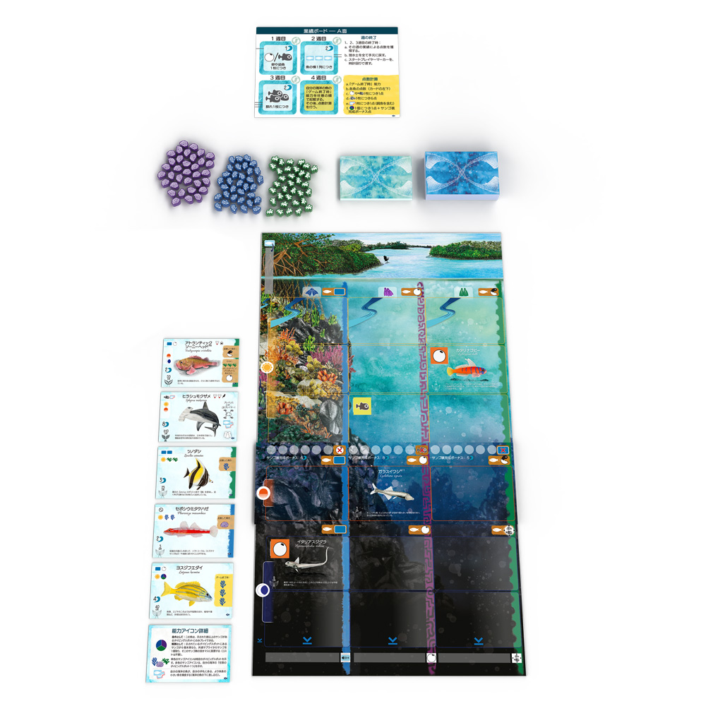 ArclightGames's tweet photo. 【新商品】待望の『フィンスパン』拡張が登場！
サンゴ礁ボードやサンゴトークン、新しい色鮮やかな魚たちであなたの海洋ボードを彩りましょう。
新しい業績タイルや終了得点条件などで戦略の幅もさらに広がる『フィンスパン拡張：サメとサンゴ礁』は10月23日発売予定！
https://t.co/Yv2lxoXRDh https://t.co/1yyIF6YIyH