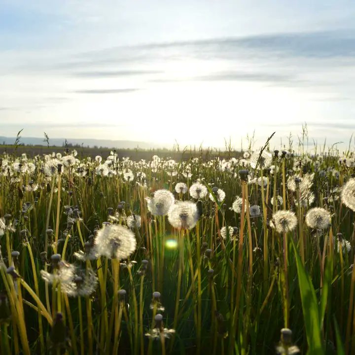 Dyllan3100's tweet photo. Perfume of flowers, and birds' songs low.🫣 https://t.co/ftQhnXGS8J