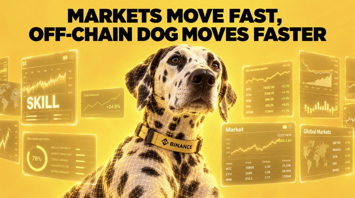 offchaindog's tweet photo. zDog is ze fastest! https://t.co/ejU3YwjHxo
